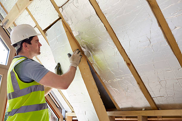 Best Cellulose Insulation  in Arnold, MD